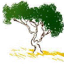 Growing Tree