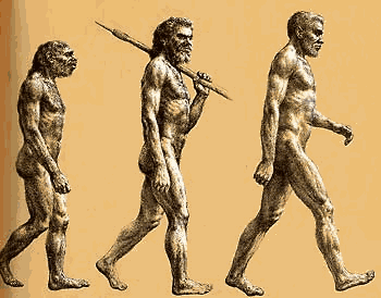 Evolution - Ape to Man