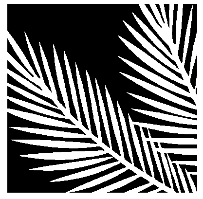 Palms